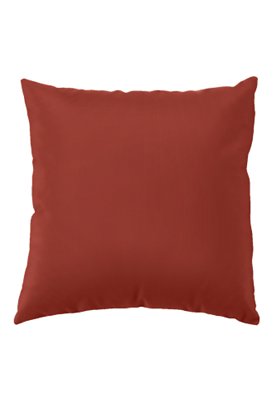 24" Square Pillow